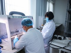 Đọc nhanh bài viết 216263