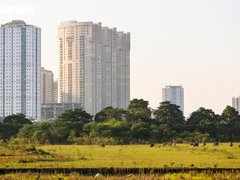 Đọc nhanh bài viết 216387