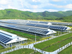 Đọc nhanh bài viết 216485