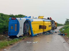 Đọc nhanh bài viết 216601