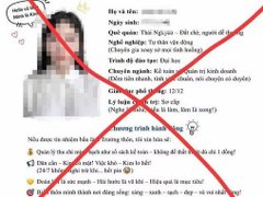 Đọc nhanh bài viết 216615
