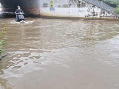 Đọc nhanh bài viết 216930