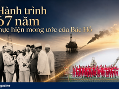 Đọc nhanh bài viết 216969