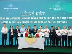 Đọc nhanh bài viết 216985
