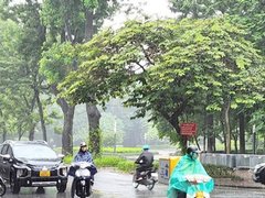 Đọc nhanh bài viết 217167