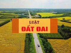 Đọc nhanh bài viết 217202