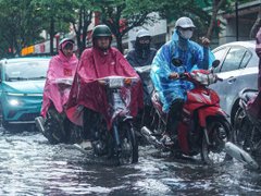 Đọc nhanh bài viết 217241