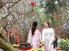 Đọc nhanh bài viết 217294