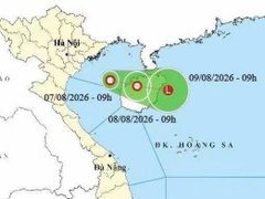Đọc nhanh bài viết 217378