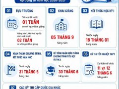 Đọc nhanh bài viết 217384