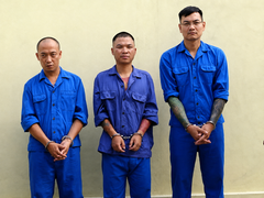 Đọc nhanh bài viết 217467