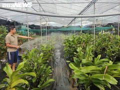 Đọc nhanh bài viết 217479