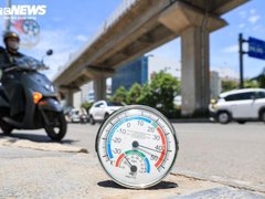 Đọc nhanh bài viết 217554
