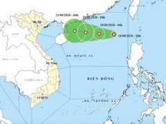 Đọc nhanh bài viết 217729
