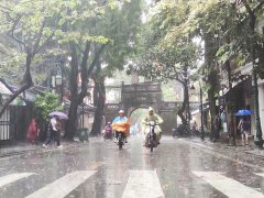 Đọc nhanh bài viết 217763