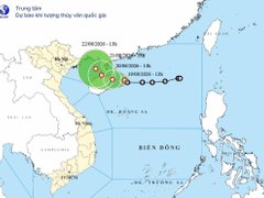 Đọc nhanh bài viết 217798