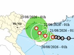 Đọc nhanh bài viết 217827