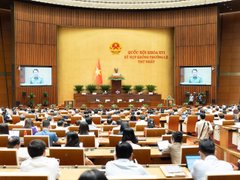 Đọc nhanh bài viết 217833