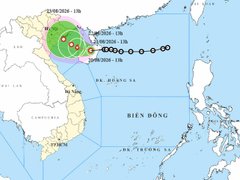Đọc nhanh bài viết 217842