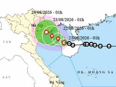 Đọc nhanh bài viết 217847