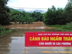 Đọc nhanh bài viết 217906