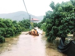 Đọc nhanh bài viết 217935