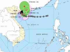 Đọc nhanh bài viết 217941