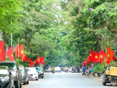 Đọc nhanh bài viết 218073