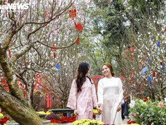 Đọc nhanh bài viết 218124