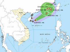 Đọc nhanh bài viết 218246