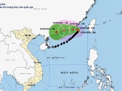 Đọc nhanh bài viết 218343