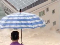 Đọc nhanh bài viết 218432