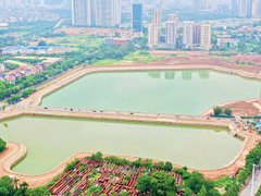Đọc nhanh bài viết 218475