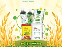Đọc nhanh bài viết 218499