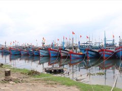 Đọc nhanh bài viết 218553