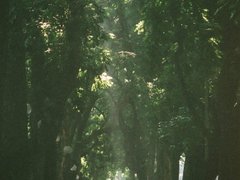 Đọc nhanh bài viết 218775