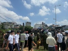 Đọc nhanh bài viết 218951
