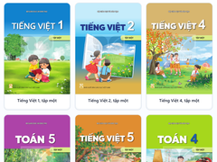 Đọc nhanh bài viết 219209