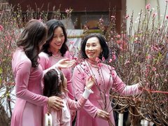 Đọc nhanh bài viết 219459