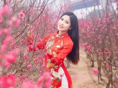 Đọc nhanh bài viết 219697