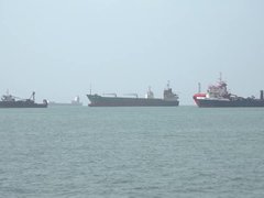 Đọc nhanh bài viết 220504