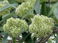Đọc nhanh bài viết 220521