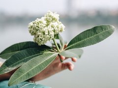 Đọc nhanh bài viết 220639