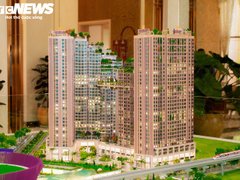 Đọc nhanh bài viết 221030