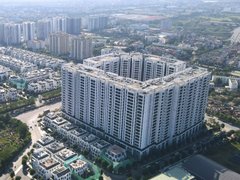 Đọc nhanh bài viết 221036