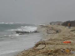 Ảnh bìa bài viết 163402