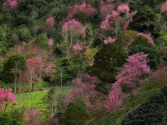 Đọc nhanh bài viết 163563