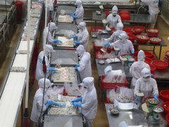 Ảnh bìa bài viết 169450