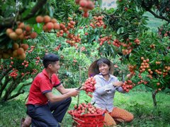 Ảnh bìa bài viết 171560