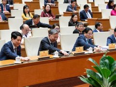 Ảnh bìa bài viết 186813